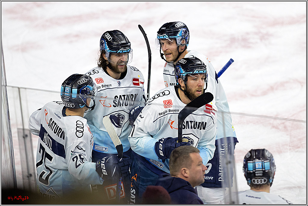 PENNY DEL;  Kölner Haie - ERC Ingolstadt; Köln, 25.11.2022